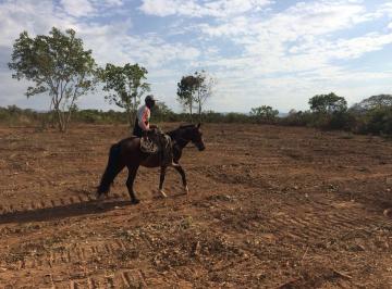 Imagem 1 · Fazenda para venda em Centro, Água Fria de Goiás