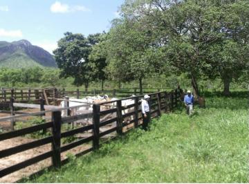 Imagem 1 · Fazenda