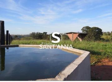 Imagem 1 · Fazenda