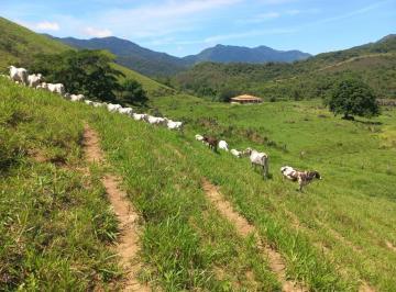 Imagem 1 · Fazenda