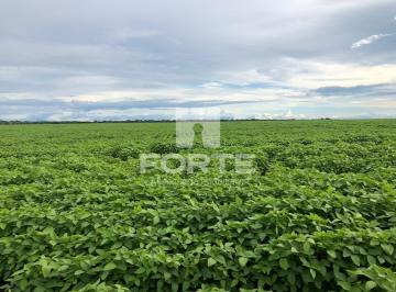 Imagem 1 · Fazenda