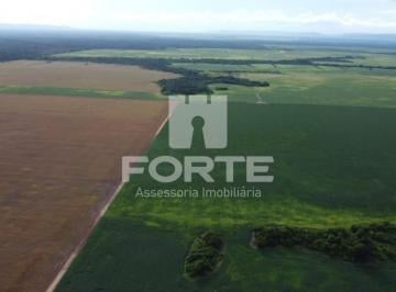 Imagem 1 · Fazenda