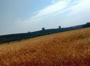 Imagem 1 · Fazenda