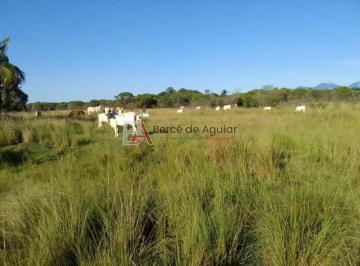 Imagem 1 · Fazenda