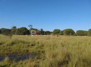 Imagem 1 · Fazenda