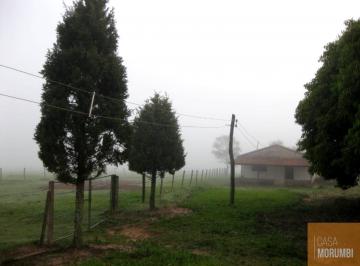 Imagem 1 · Fazenda