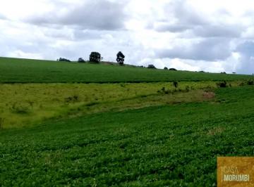 Imagem 1 · Fazenda