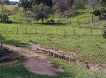 Imagem 1 · Sítio para venda em Vargem