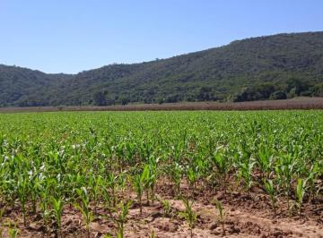 Imagem 1 · Fazenda