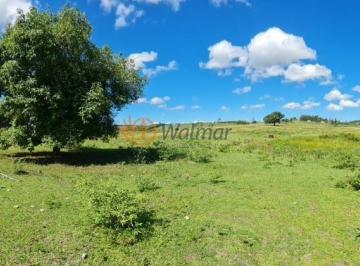 Imagem 1 · Fazenda