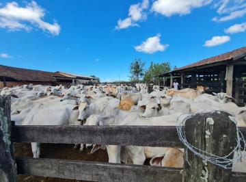 Imagem 1 · Fazenda