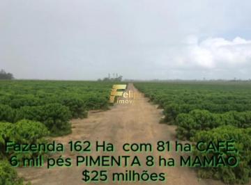 Imagem 1 · Fazenda