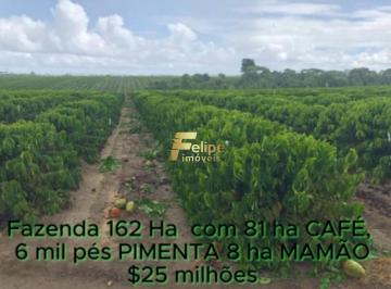 Imagem 1 · Fazenda