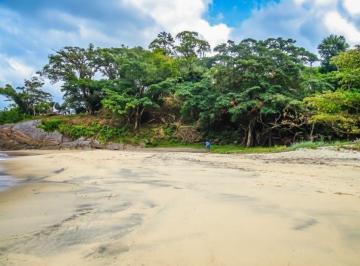 Apartamento · 17000m² · Terreno à venda, 17000 m² por R$ 6.500.000,00 - Praia Das Goiabas (Mambucaba) - Angra dos Reis/RJ