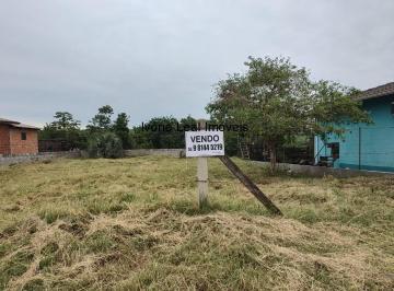 Foto 07 · TERRENO NO ENTRE IJUÍS- MURADO, PLANO- 383M² FRENTE DE 16,80M