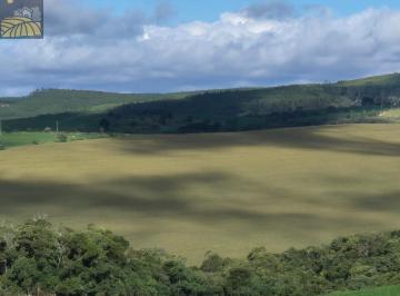 Foto 09 · Sitio, 94,38 Hectares - Excelente Topografia, Sarapuí, SP