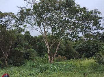 20240604121343187.jpg · Terreno para Venda em Itanhaém, Balneário Gaivota