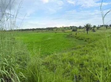 Rural · 500000m² · Rurais - leilão - em Maranhãozinho