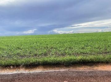 Rural · 1670m² · Rurais - leilão - em Riachão