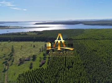 633b7ecb07e23f28b4f662b5ff2270fc43e24208 · Fazenda à Venda Região Paranapanema/SP