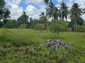 202606031735573504.jpeg · Terreno para Locação em Salvador, Cassange
