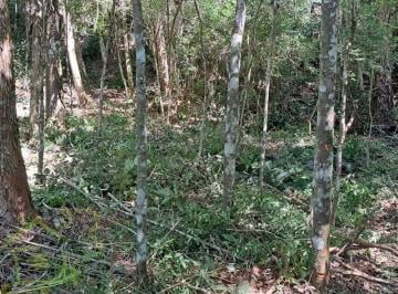 Foto 01 · Terreno, Campo Largo, Jarinu, SP