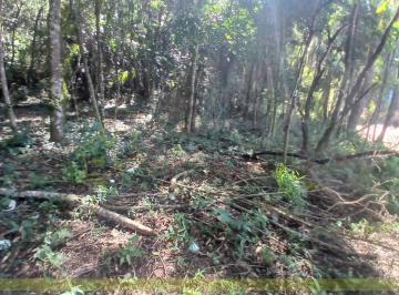 Foto 12 · Terreno, Campo Largo, Jarinu, SP