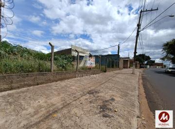Terreno/Lote · Salão/Galpão (salão - térreo)