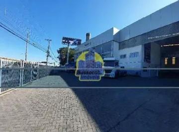 t-png1780516448756.png · Galpão / Barracão para locação, Remédios, Osasco, SP