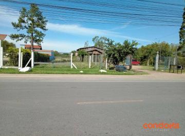 08879aa2cec8fa5eada2383320264b6a6edb6359 · Terreno para alugar, 10000 m² por R$ 3.000,00/mês - Ponta Grossa - Porto Alegre/RS