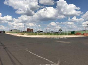 Terreno · 250m² · Terreno para venda em Residencial Antônio Donatoni de 250.00m²