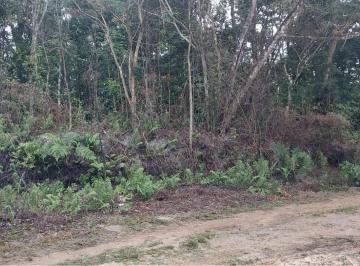 202508071050178599.jpg · Chácara para Venda em Itanhaém, Jardim São Fernando
