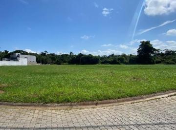 202503271139284076.jpg · Terreno para Venda em Peruíbe, Balneário Flórida