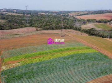 Terreno · 800000m² · Terreno à venda - no Lageadinho
