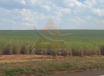 Imagem 1 · Fazenda