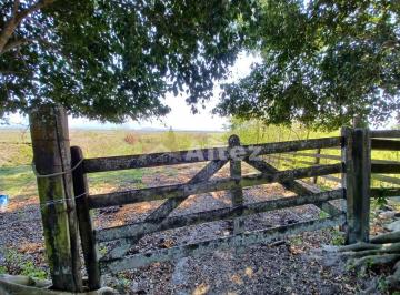 Imagem 1 · Fazenda