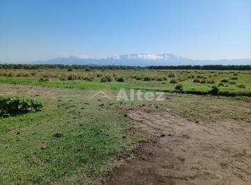 Imagem 1 · Fazenda