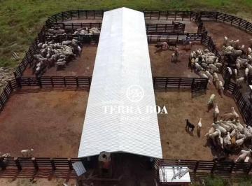 Imagem 1 · Fazenda