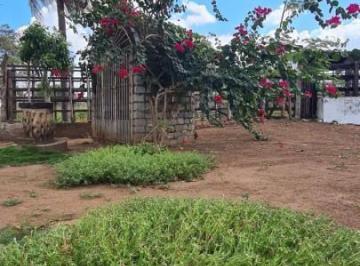 Imagem 1 · Fazenda