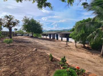 Imagem 1 · Fazenda