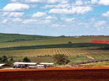 Imagem 1 · Fazenda