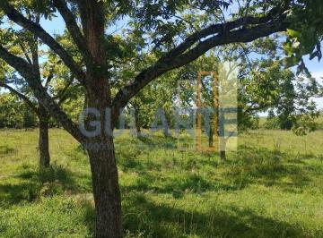 Imagem 1 · Fazenda