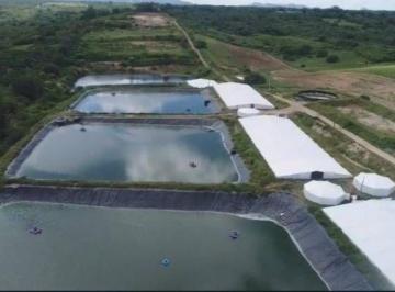 Imagem 1 · Fazenda