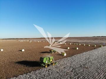 Imagem 1 · Fazenda
