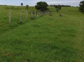 Imagem 1 · Fazenda