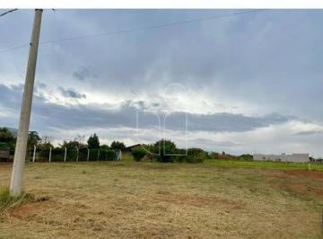 Rural · Chácara em Padre Nobrega  -  Marília