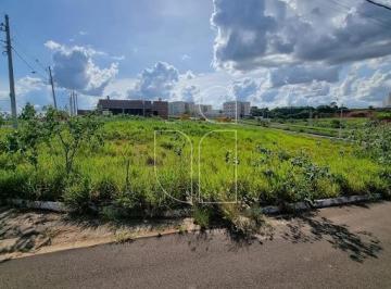 Terreno · Terreno Residencial em Antenor Barion - Marília