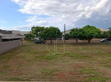 Terreno · Casa em Condomínio Residencial Costa do Ipê - Marília/Sp