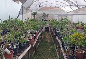 Terreno · Terreno Comercial em Palmital - Marília, SP