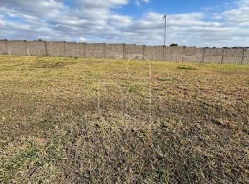 Terreno · Casa em Condomínio em Silenzio Esmeralda Jardim Esmeralda - Marília, SP